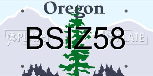 BSIZ58 Oregon License Plate