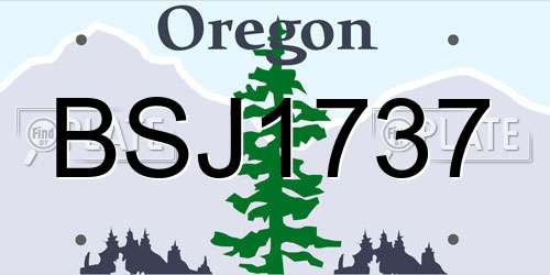 BSJ1737 Oregon License Plate