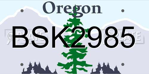 BSK2985 Oregon License Plate