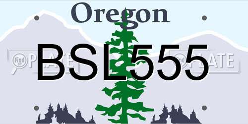 BSL555 Oregon License Plate