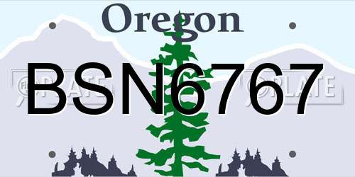 BSN6767 Oregon License Plate