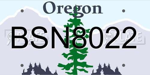 BSN8022 Oregon License Plate