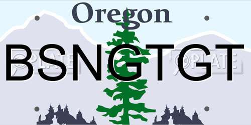 BSNGTGT Oregon License Plate