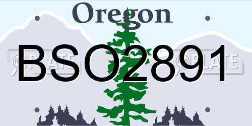 BSO2891 Oregon License Plate