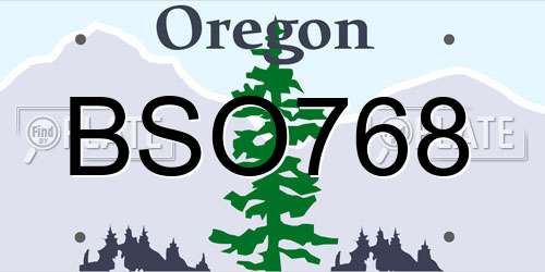BSO768 Oregon License Plate