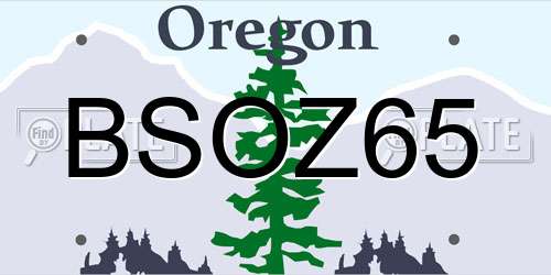 BSOZ65 Oregon License Plate