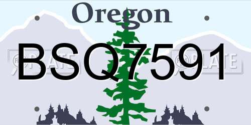 BSQ7591 Oregon License Plate