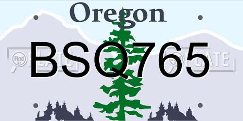 BSQ765 Oregon License Plate