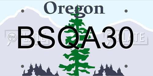 BSQA30 Oregon License Plate