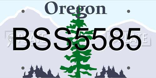 BSS5585 Oregon License Plate