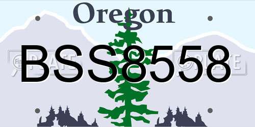 BSS8558 Oregon License Plate