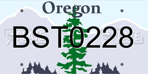 BST0228 Oregon License Plate