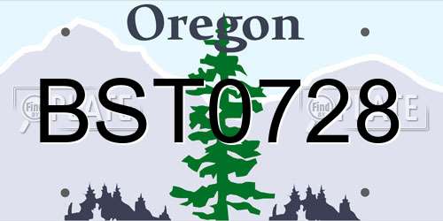 BST0728 Oregon License Plate