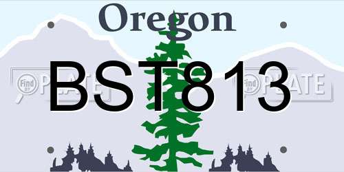 BST813 Oregon License Plate
