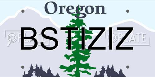 BSTIZIZ Oregon License Plate