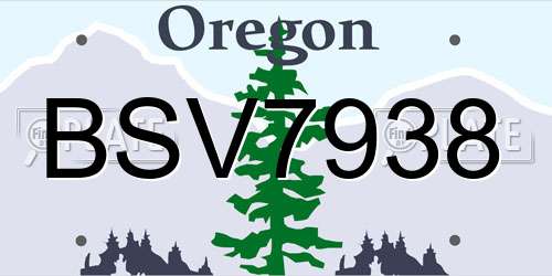 BSV7938 Oregon License Plate