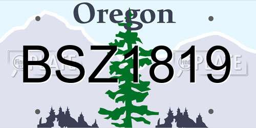 BSZ1819 Oregon License Plate