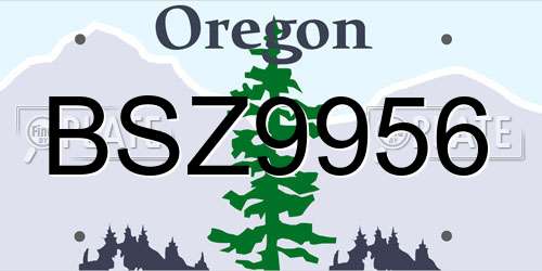 BSZ9956 Oregon License Plate