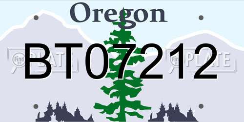 BT07212 Oregon License Plate