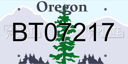 BT07217 Oregon License Plate