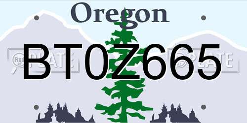 BT0Z665 Oregon License Plate