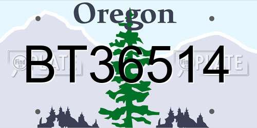 BT36514 Oregon License Plate