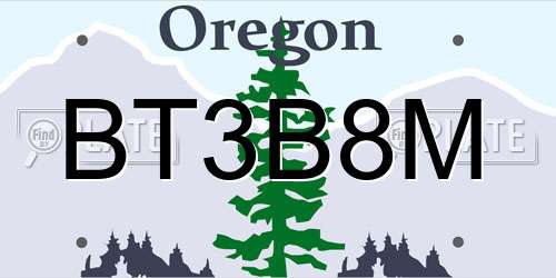 BT3B8M Oregon License Plate