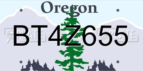 BT4Z655 Oregon License Plate