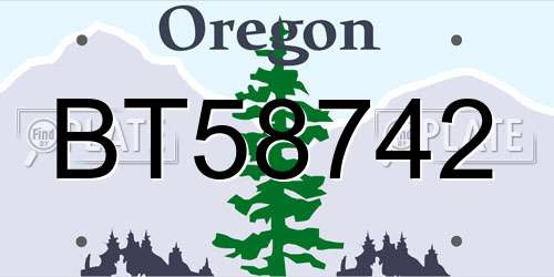 BT58742 Oregon License Plate