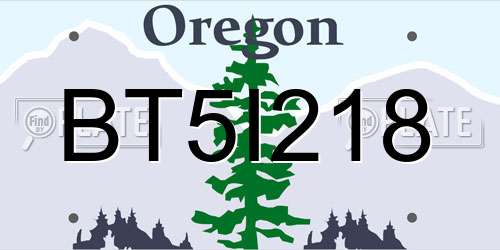 BT5I218 Oregon License Plate