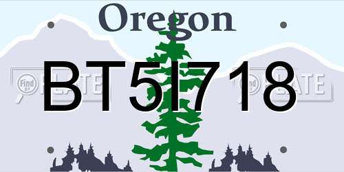 BT5I718 Oregon License Plate