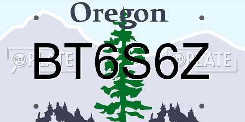 BT6S6Z Oregon License Plate