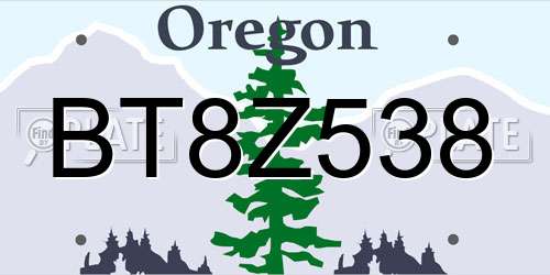 BT8Z538 Oregon License Plate