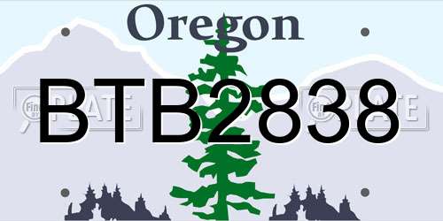 BTB2838 Oregon License Plate