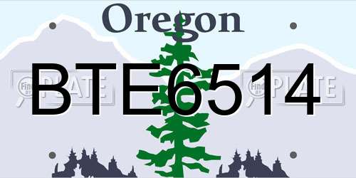 BTE6514 Oregon License Plate
