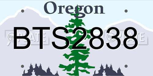 BTS2838 Oregon License Plate