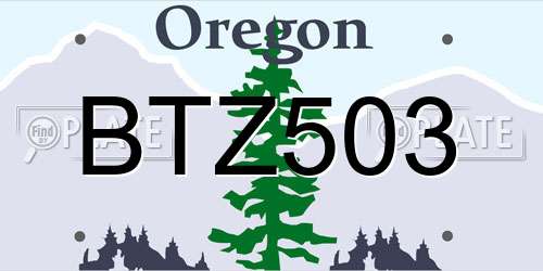 BTZ503 Oregon License Plate
