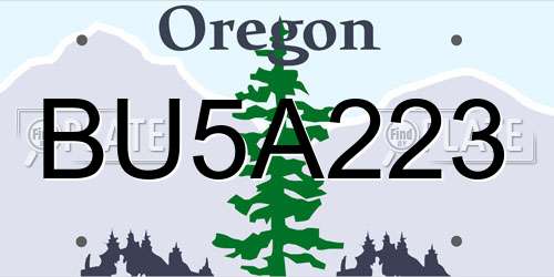 BU5A223 Oregon License Plate