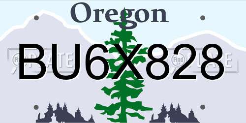 BU6X828 Oregon License Plate