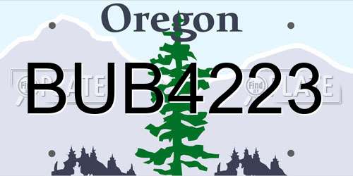 BUB4223 Oregon License Plate