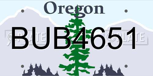 BUB4651 Oregon License Plate