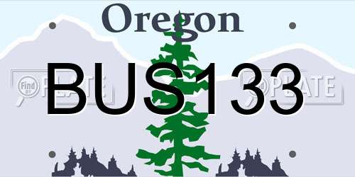BUS133 Oregon License Plate