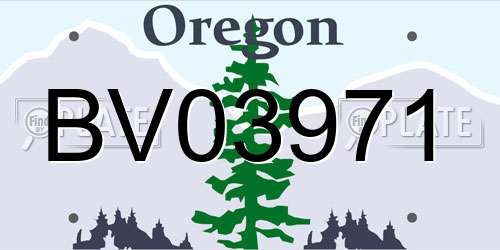 BV03971 Oregon License Plate