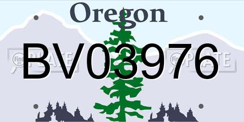 BV03976 Oregon License Plate