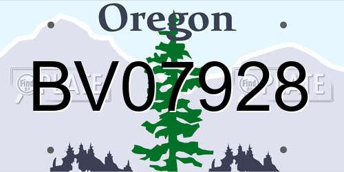 BV07928 Oregon License Plate