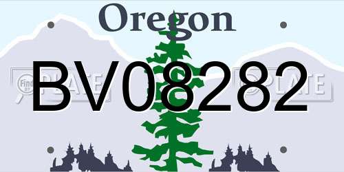 BV08282 Oregon License Plate