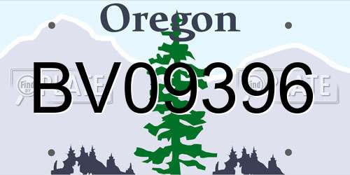 BV09396 Oregon License Plate