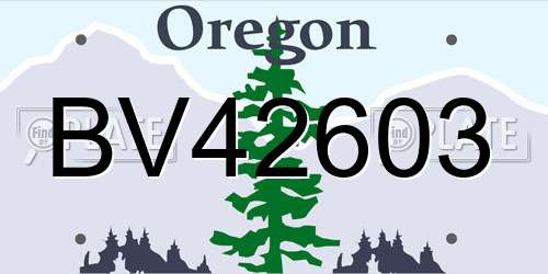 BV42603 Oregon License Plate