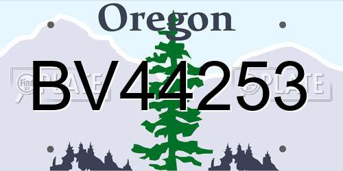 BV44253 Oregon License Plate