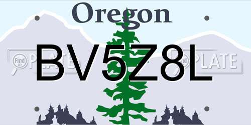 BV5Z8L Oregon License Plate
